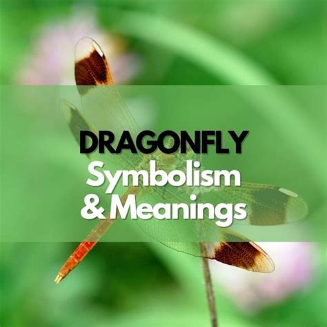 History of Dragonfly Symbolism