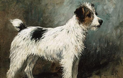 History of Terriers