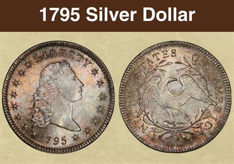 History of the 1795 dollar coin