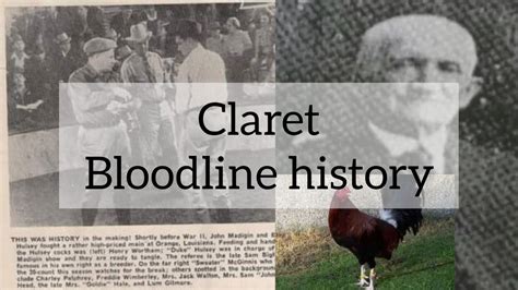 History of the Clarets