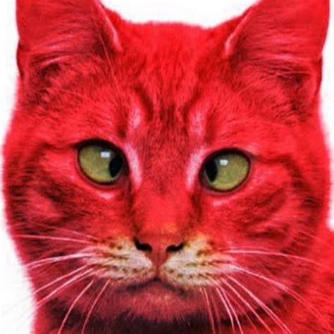 History of the Crimson Kitten