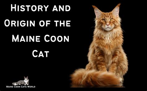 History of the Maine Coon