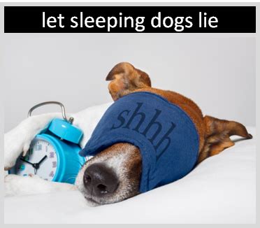 History of the Sleeping Dog Meme