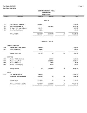 Hoa Balance Sheet Template