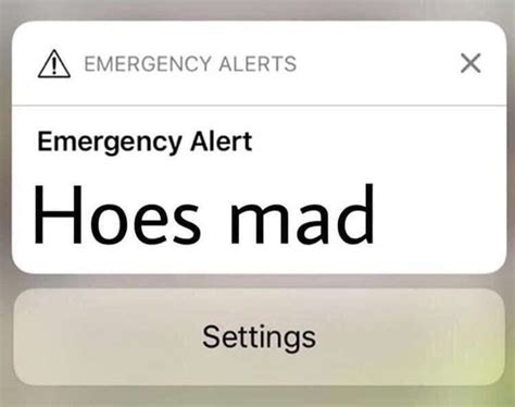 Hoes Mad Meme: 5 Reasons Why It's the Most Infectious Internet Virus