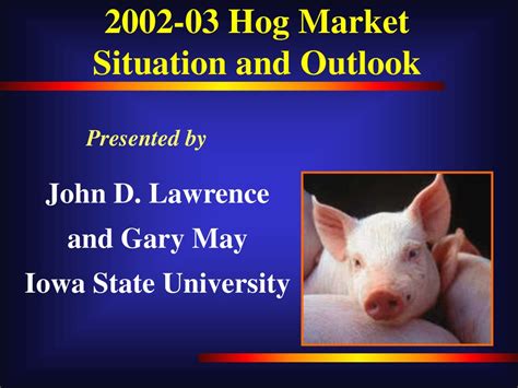 Hog Industry Outlook