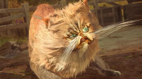 Hogwarts Legacy Cats: A Comprehensive Guide to the Feline Companions of the Wizarding World