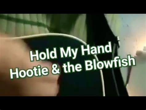 Hold My Hand: A Deep Dive into Hootie & the Blowfish's Enduring Classic