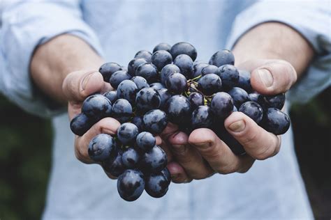 Hold a grape crystal in your hand.