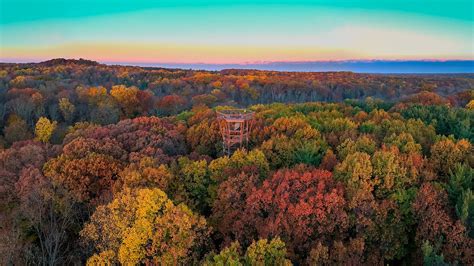 Holden Arboretum Jobs: Join the Team Preserving Nature's Legacy