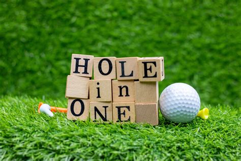 Hole in One PDF