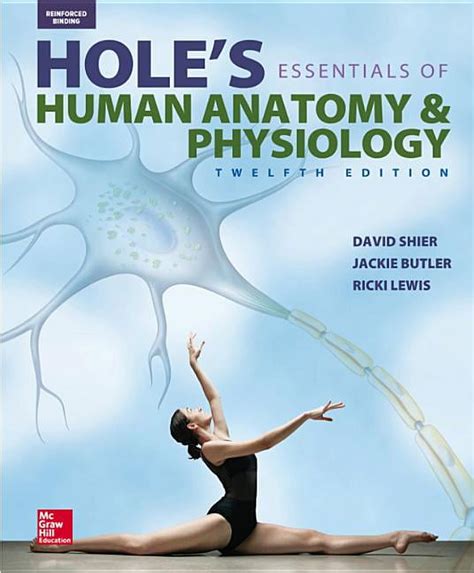 Hole s Essentials of Human Anatomy and Physiology PDF