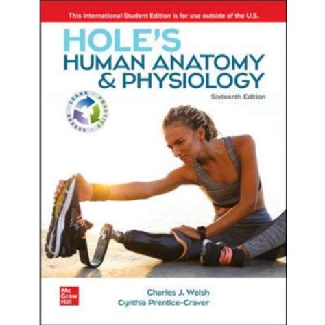 Holes Anatomy Practice Answers PDF