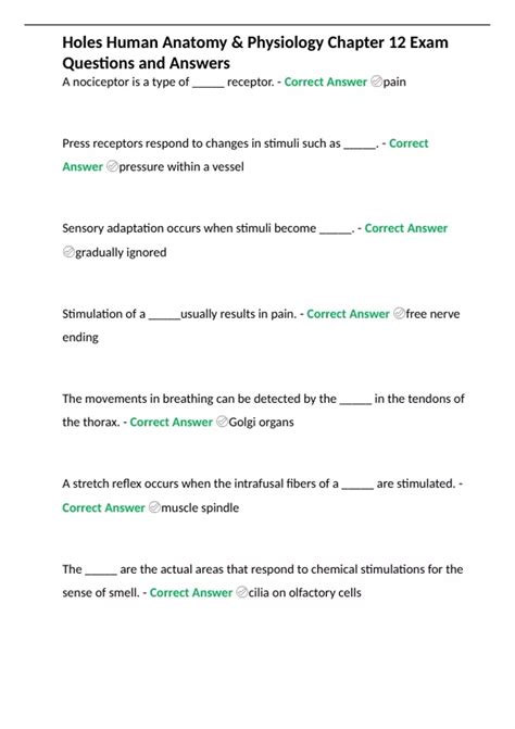 Holes Anatomy Practice Answers PDF