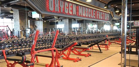 Holland Village Gym: Explore 9 Best Gyms For Ultimate Fitness!