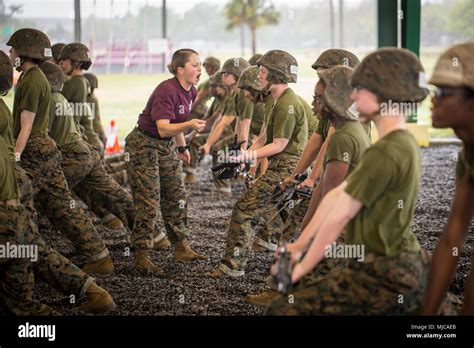 Hollie Mulvihill USMC: A Trailblazer in the Marine Corps