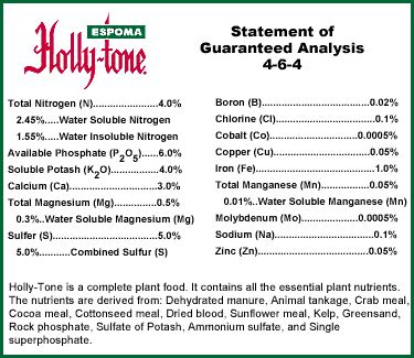 Holly Fertilizer: 7 Essential Nutrients & 3 Steps to Maximize Plant Health