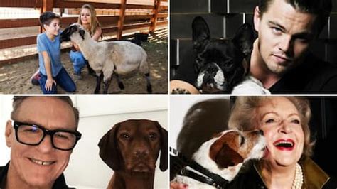 Hollywood's Animal Advocacy Champions