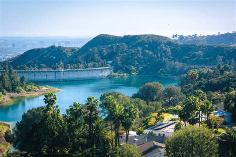 Hollywood Reservoir: A Haven for Urban Deer