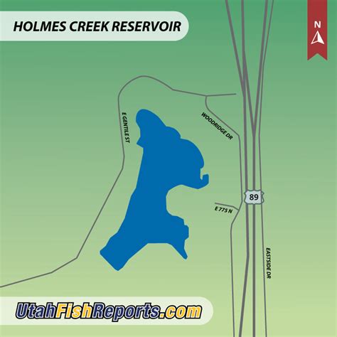 Holmes Creek Water Level: Everything You Need to Know
