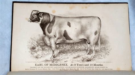 Holstein Herd-Book Doc