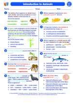 Holt Biology Answer Key Introduction To Animals Doc