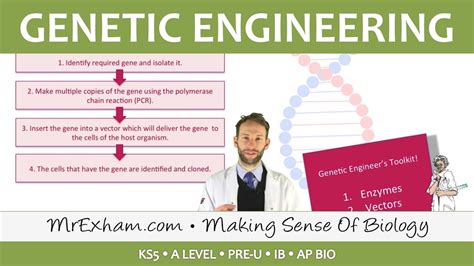 Holt Biology Answers Genetic Engineering Active Doc