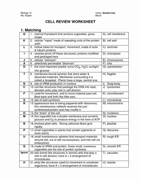 Holt Biology Cells Structure Vocabulary Review Answers Reader