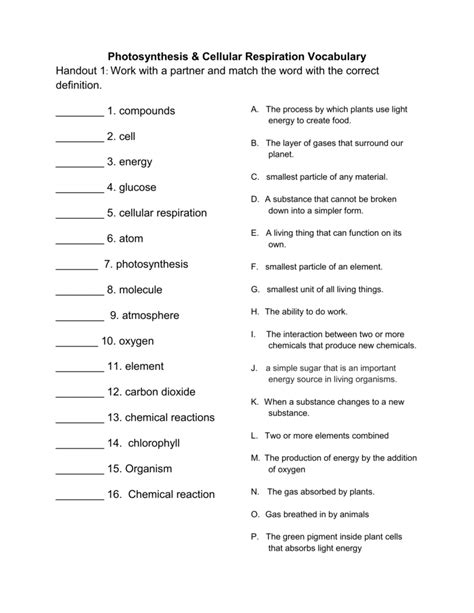 Holt Biology Photosynthesis Cellular Respiration Quiz Answers Kindle Editon