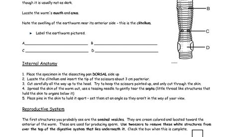 Holt Biosources Lab Program Earthworm Dissection Answers Epub