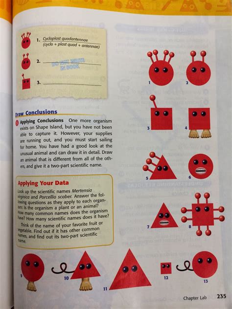 Holt Science And Technology Shape Island Answers Epub