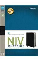 Holy Bible New Internations Version 11 by Zondervan Paperback 2011B003AYZB6Q Reader