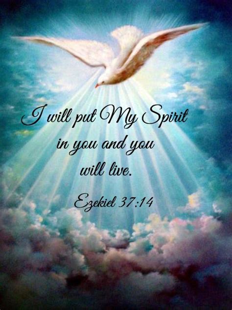 Holy Spirit in You Reader
