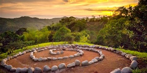 HolyBriBri: A Comprehensive Guide to the Sacred Plant of Costa Rica