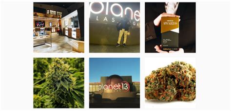 HolyJane18: A Comprehensive Guide to the World's Largest Cannabis Marketplace