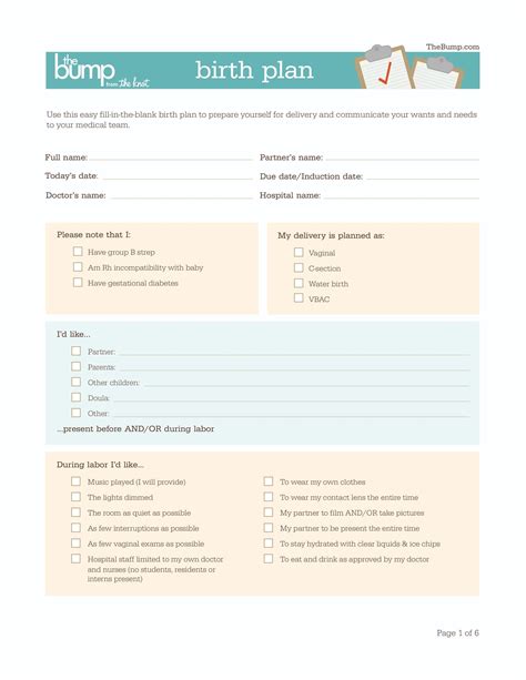 Home Birth Plan Template