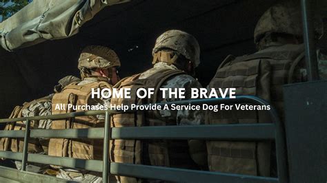 Home of the Brave PDF