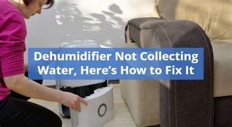 HomeLabs Dehumidifier Not Collecting Water? Here's Why and How to Fix It!