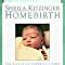 Homebirth The Essential Guide to Giving Birth Outside of the Hospital Kindle Editon