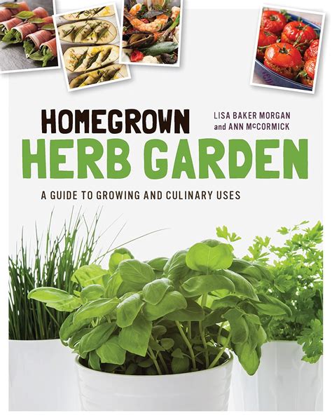 Homegrown Herb Garden A Guide to Growing and Culinary Uses Doc