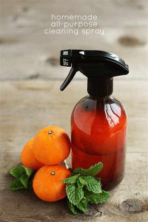 Homemade Cleaning Spray: A Natural and Effective Way to Keep Your Home Clean