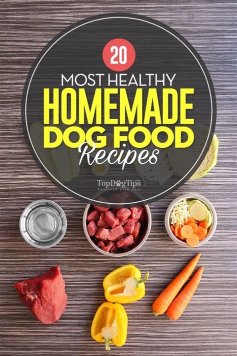 Homemade Dog Food Cookbook Nutritious Dog Food Recipe Book Healthy Easy Homemade Dog Food and Treat Recipes PDF
