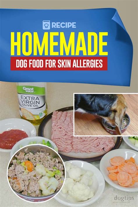 Homemade Food for Dogs with Skin Allergies: 10+ Irresistible & Healthy Recipes