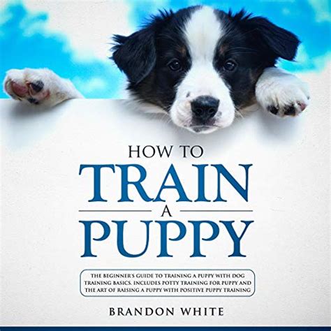 Homemade Pet Food Secrets Dog Training Basics Book 3 PDF