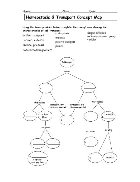 Homeostasis And Transport Concept Map Answer Doc