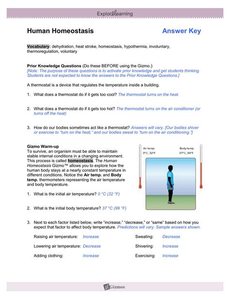 Homeostasis In The Human Body Answer Key Reader