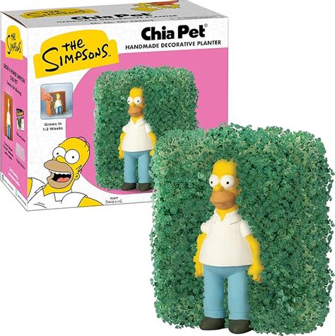 Homer Simpson Chia Pet: What You Need to Know