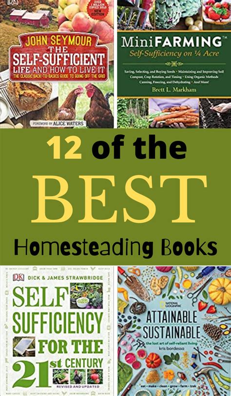 Homesteading Prepping Bundle 3 Self-Sufficiency Books in 1 Start Prepping How to Make Money Homesteading and Playful Preparedness Epub