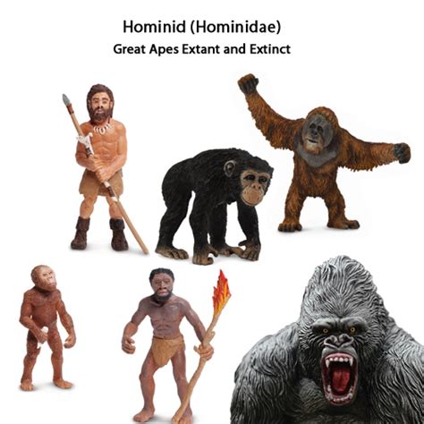 Hominid Epub