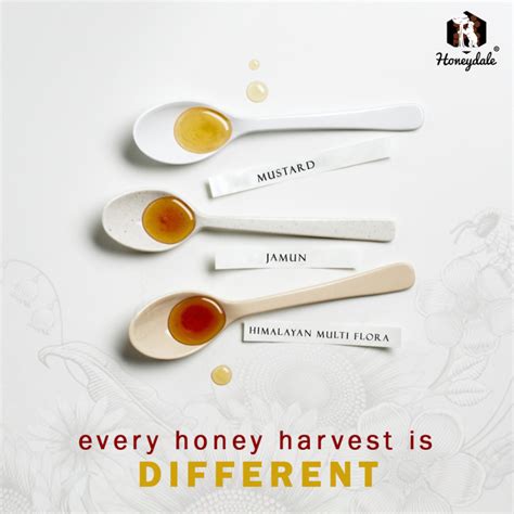 Honey, Honey! Uncovering the Sweet Secrets of Singapore's Honey Farms